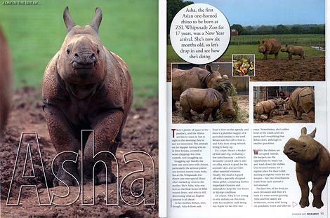 magazine-photography-7